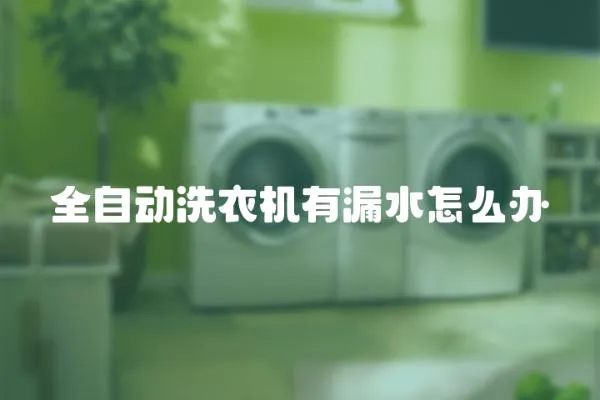 全自動洗衣機有漏水怎么辦
