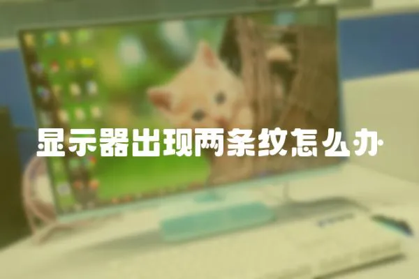 顯示器出現兩條紋怎么辦