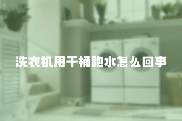 洗衣機甩干桶跑水怎么回事