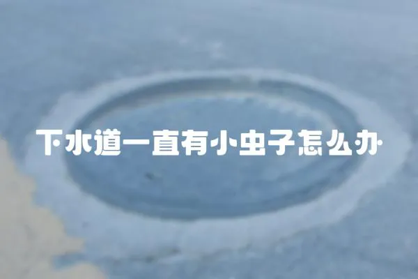 下水道一直有小蟲子怎么辦