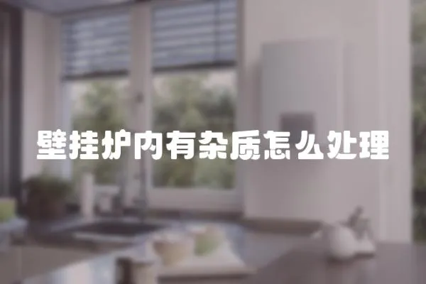 壁掛爐內(nèi)有雜質(zhì)怎么處理