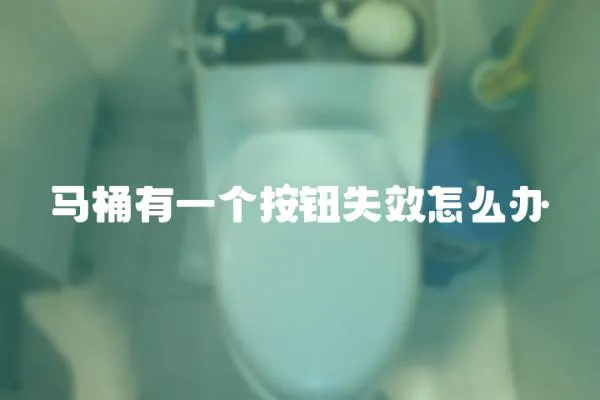馬桶有一個(gè)按鈕失效怎么辦