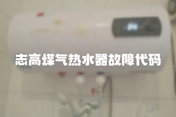 志高煤氣熱水器故障代碼