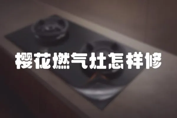 櫻花燃?xì)庠钤鯓有?></a></div>
                    <div   id=