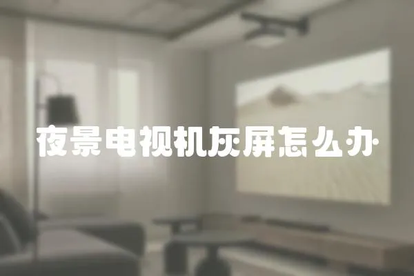 夜景電視機(jī)灰屏怎么辦