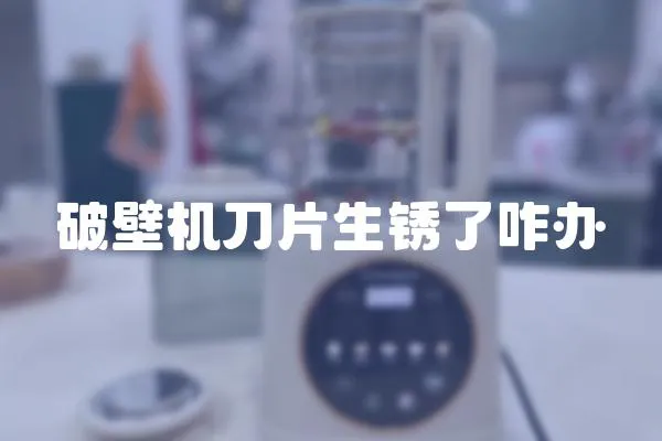 破壁機(jī)刀片生銹了咋辦