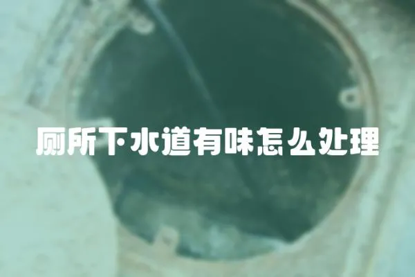 廁所下水道有味怎么處理