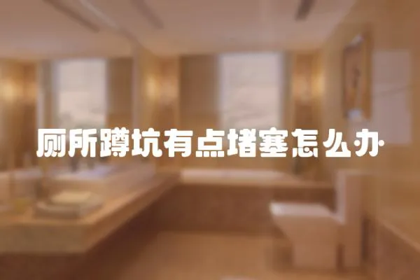 廁所蹲坑有點堵塞怎么辦