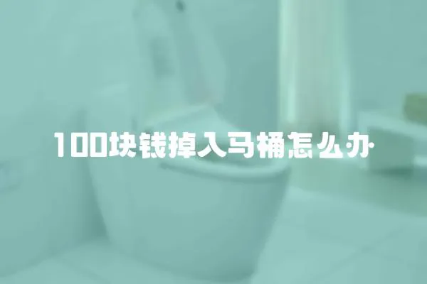 100塊錢掉入馬桶怎么辦