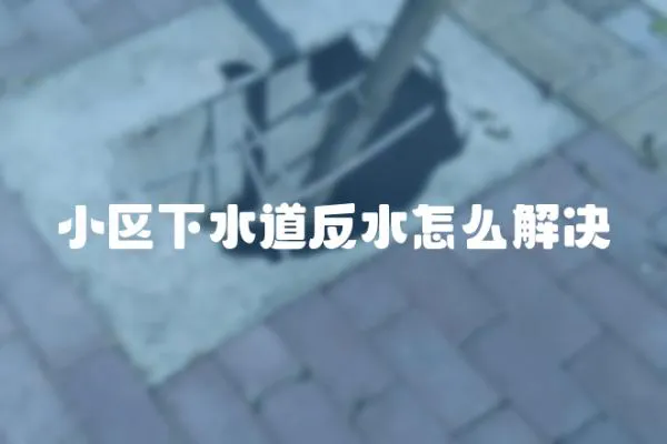 小區下水道反水怎么解決