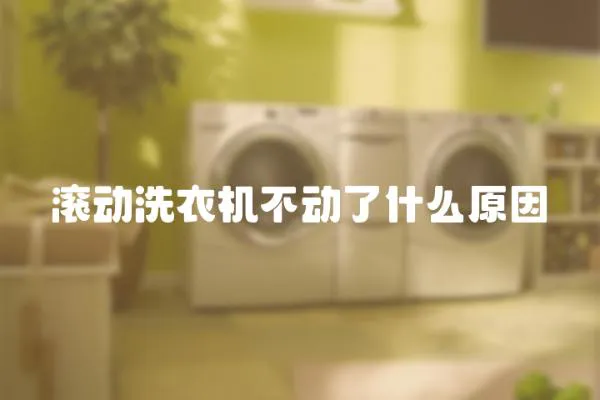 滾動洗衣機不動了什么原因