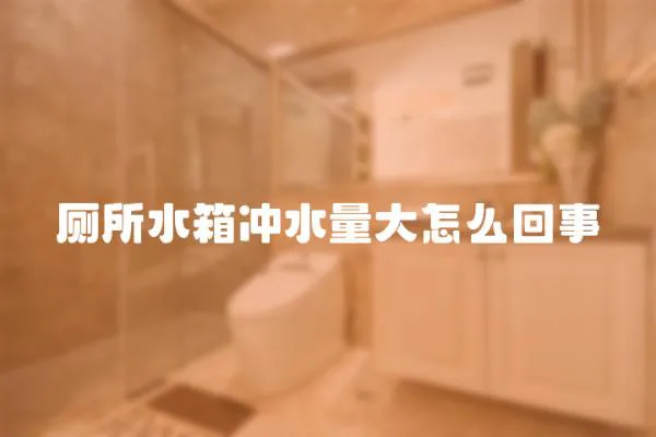 廁所水箱沖水量大怎么回事