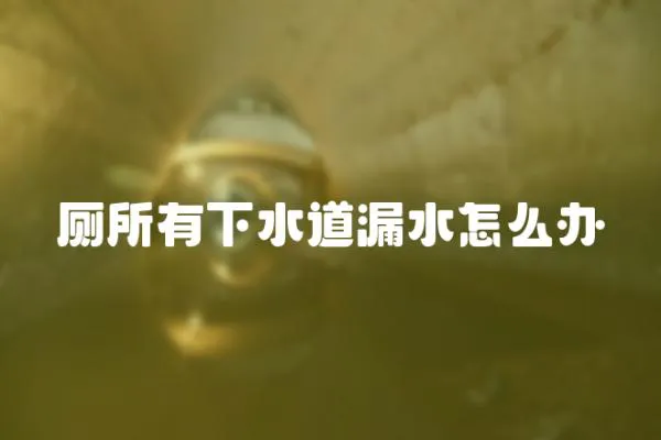 廁所有下水道漏水怎么辦