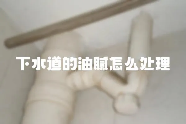 下水道的油膩怎么處理