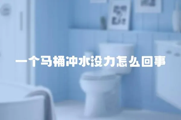 一個馬桶沖水沒力怎么回事