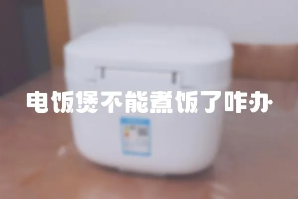 電飯煲不能煮飯了咋辦