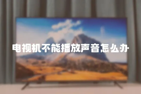 電視機不能播放聲音怎么辦