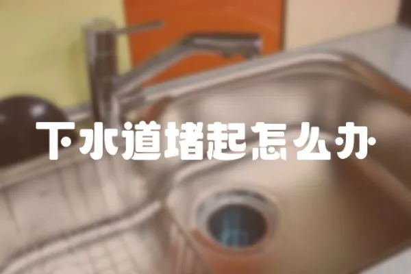 下水道堵起怎么辦