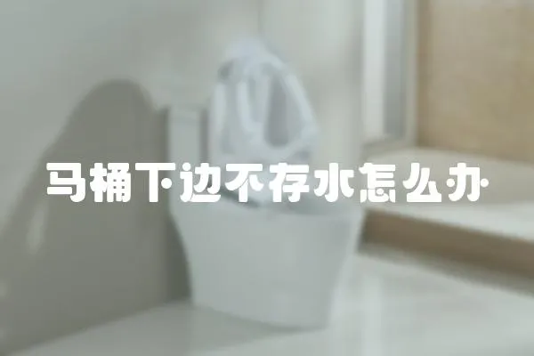 馬桶下邊不存水怎么辦