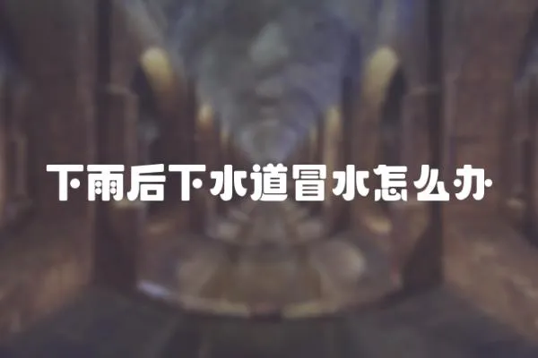 下雨后下水道冒水怎么辦