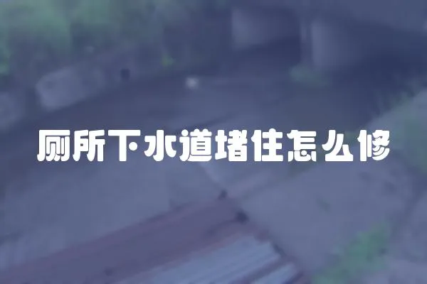 廁所下水道堵住怎么修