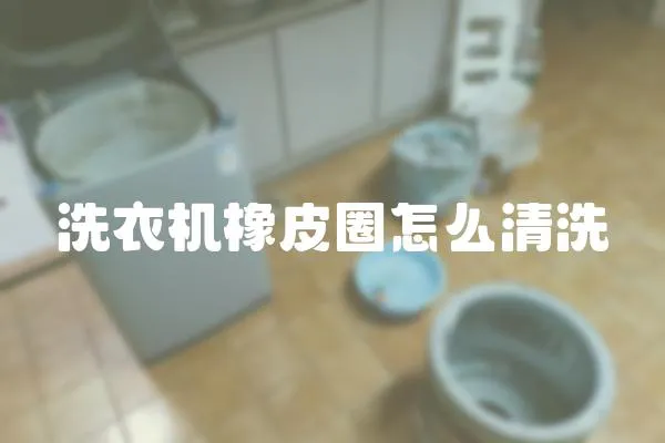 洗衣機(jī)橡皮圈怎么清洗