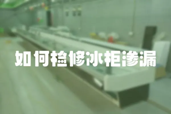 如何檢修冰柜滲漏