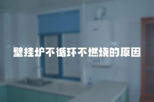 壁掛爐不循環不燃燒的原因