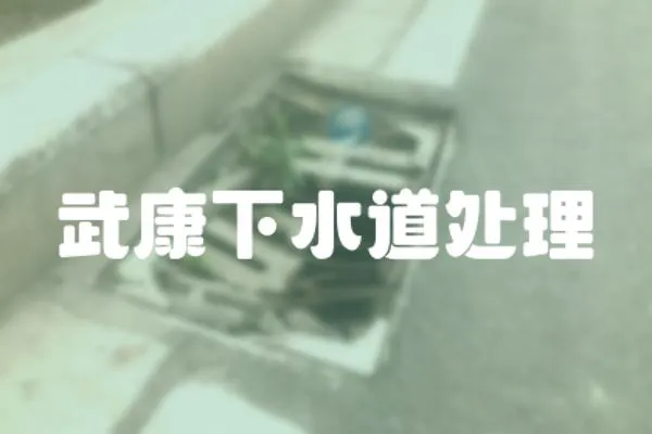 武康下水道處理