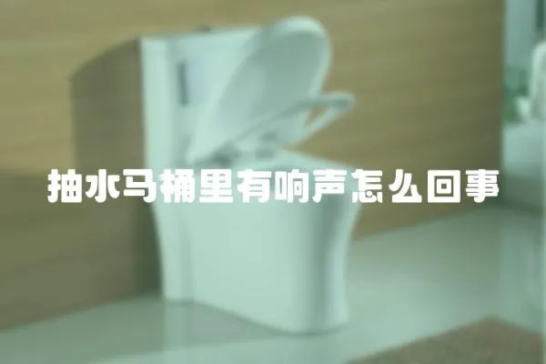 抽水馬桶里有響聲怎么回事