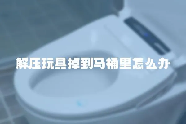 解壓玩具掉到馬桶里怎么辦