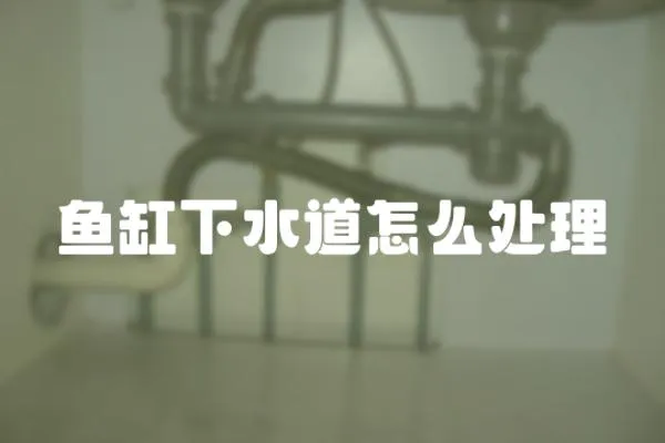 魚缸下水道怎么處理