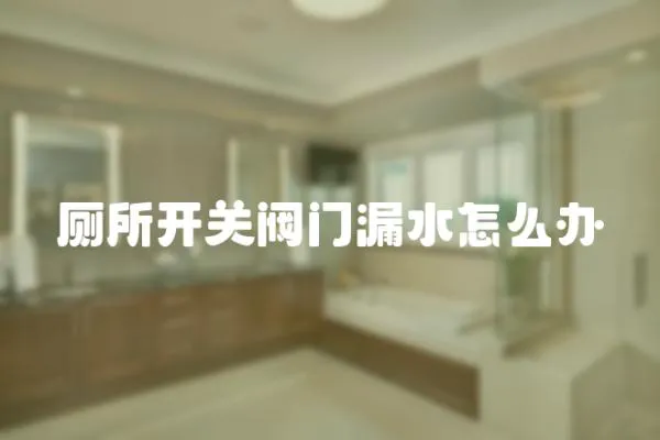 廁所開關(guān)閥門漏水怎么辦