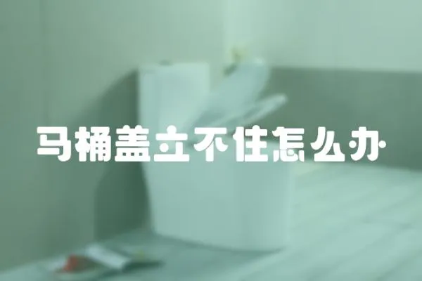 馬桶蓋立不住怎么辦