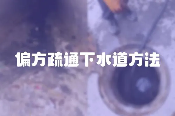 偏方疏通下水道方法