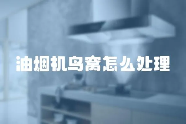 油煙機(jī)鳥(niǎo)窩怎么處理