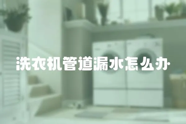 洗衣機(jī)管道漏水怎么辦