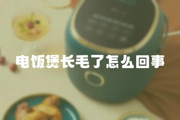 电饭煲长毛了怎么回事