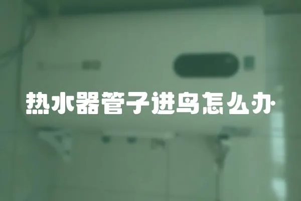 熱水器管子進鳥怎么辦