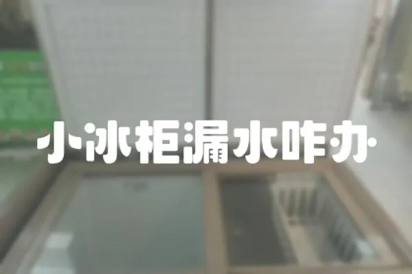 小冰柜漏水咋辦