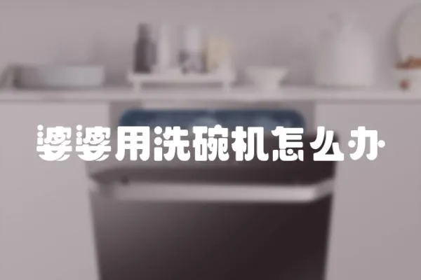 婆婆用洗碗機怎么辦