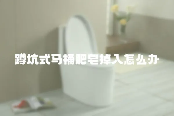 蹲坑式馬桶肥皂掉入怎么辦