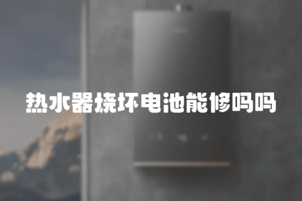 熱水器燒壞電池能修嗎嗎