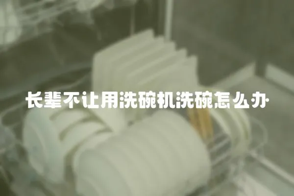 長輩不讓用洗碗機洗碗怎么辦