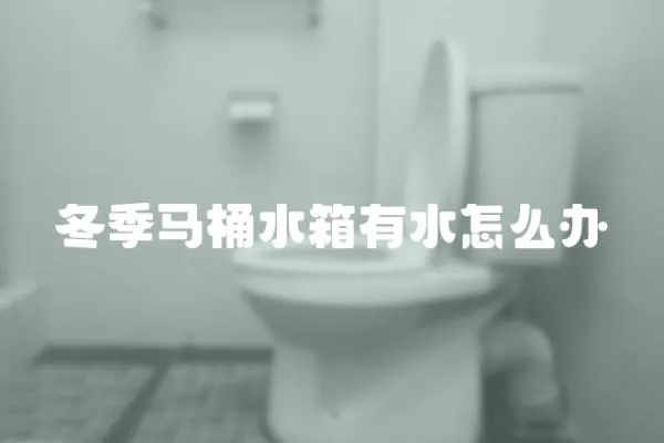 冬季馬桶水箱有水怎么辦