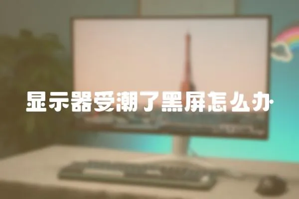 顯示器受潮了黑屏怎么辦