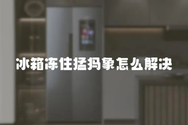 冰箱凍住猛犸象怎么解決
