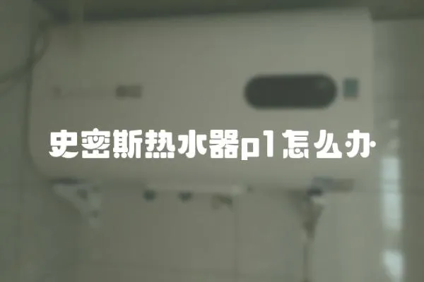 史密斯熱水器p1怎么辦