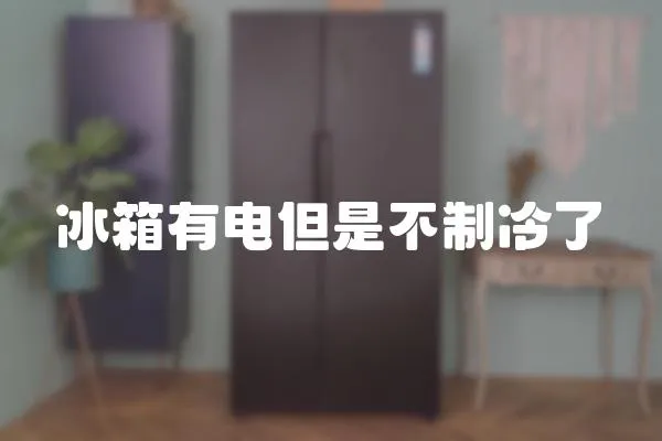 冰箱有電但是不制冷了