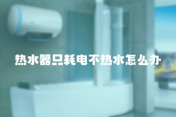 熱水器只耗電不熱水怎么辦